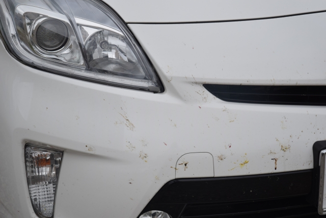 ロングドライブ後は虫の汚れに注意