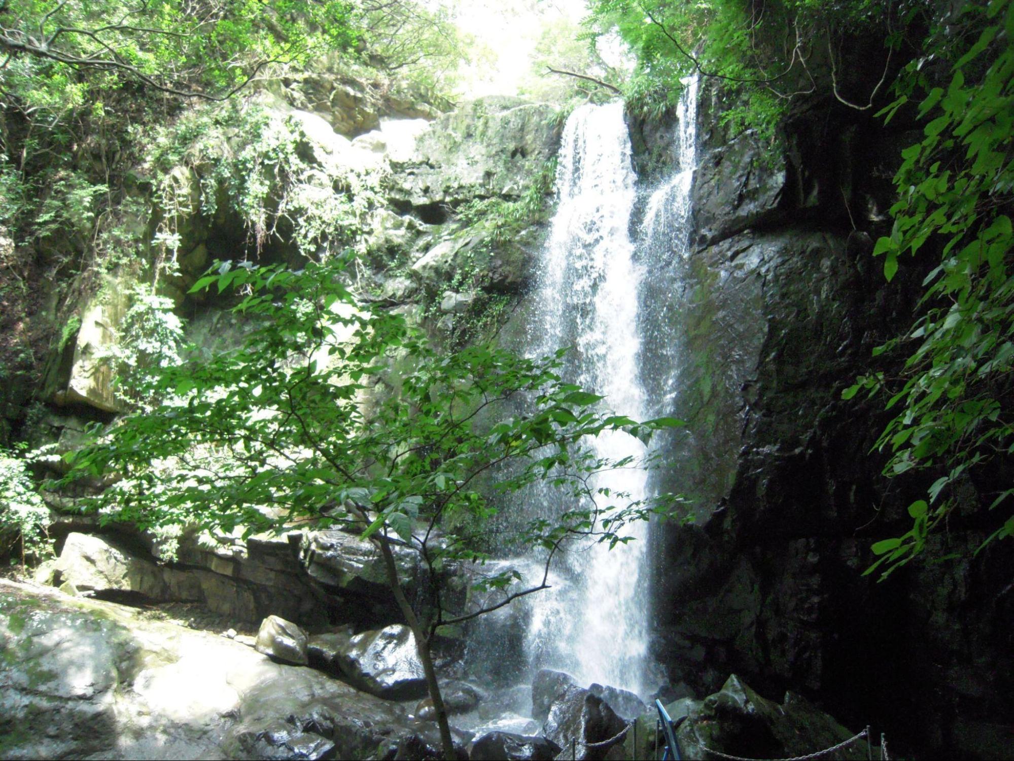 ひんやり空気と激しい水音の神秘的なスポット / 鮎屋の滝
