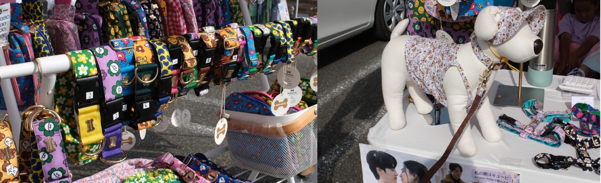 お散歩が楽しくなる、カラフルな首輪・リード・ハーネス