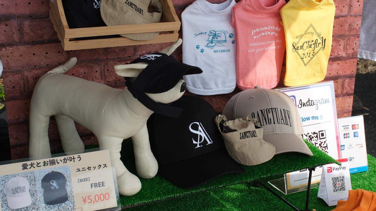 日差し対策に!愛犬用キャップ