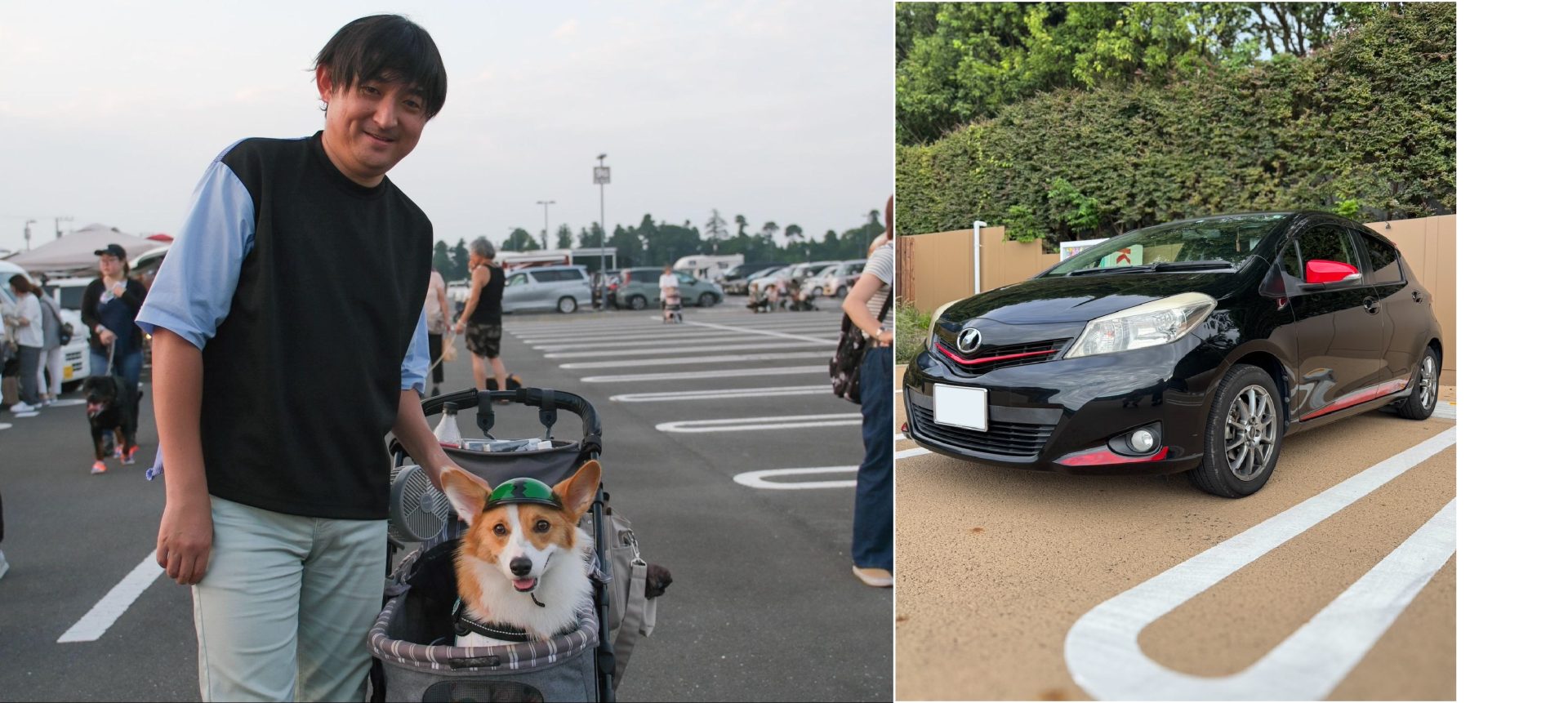 愛犬と一緒に行けるドライブスポットをリサーチしてお出かけ