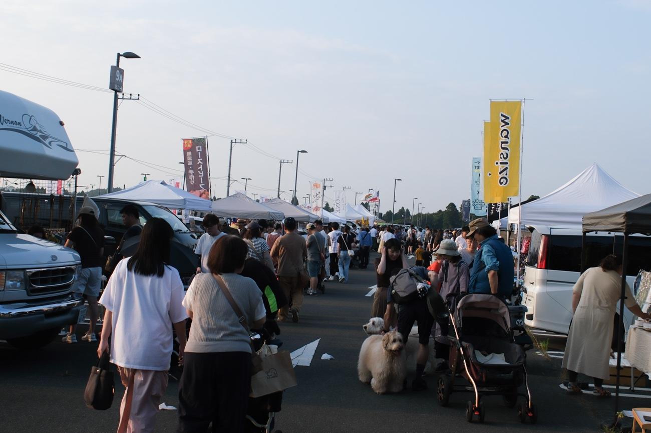 テーマは「犬と夜更かし」。“ドッグファースト”な空間