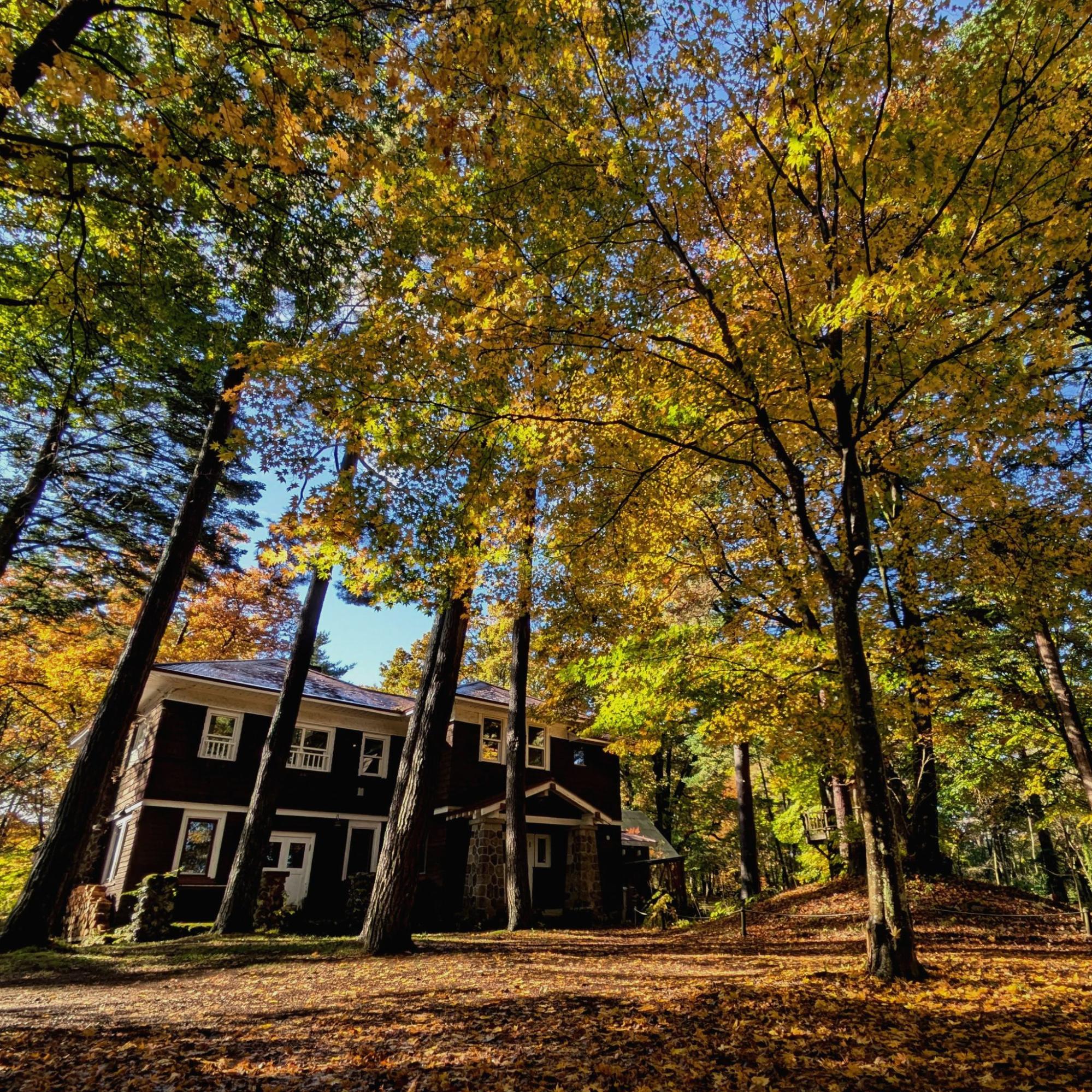 【長野・軽井沢ドライブ】文豪たちが愛した高原リゾート地へ（大人の秋旅Vol.1）