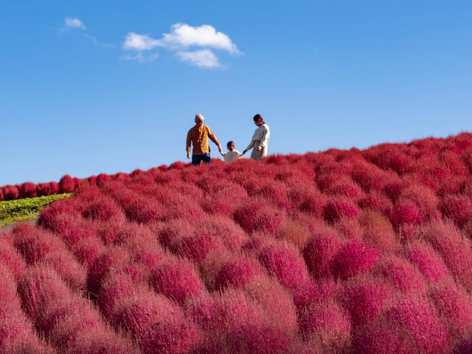 秋色の高原で音と味覚を愉しむ「湯沢高原オータムフェア」開催中  —— 紅葉、音楽、グルメが彩る“秋の湯沢”へ