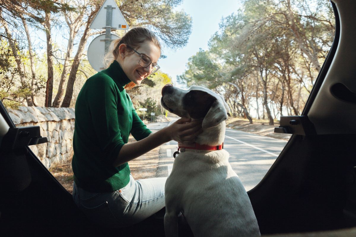 愛犬と飼い主のためのドライブデビュー。車を好きになってもらう方法
