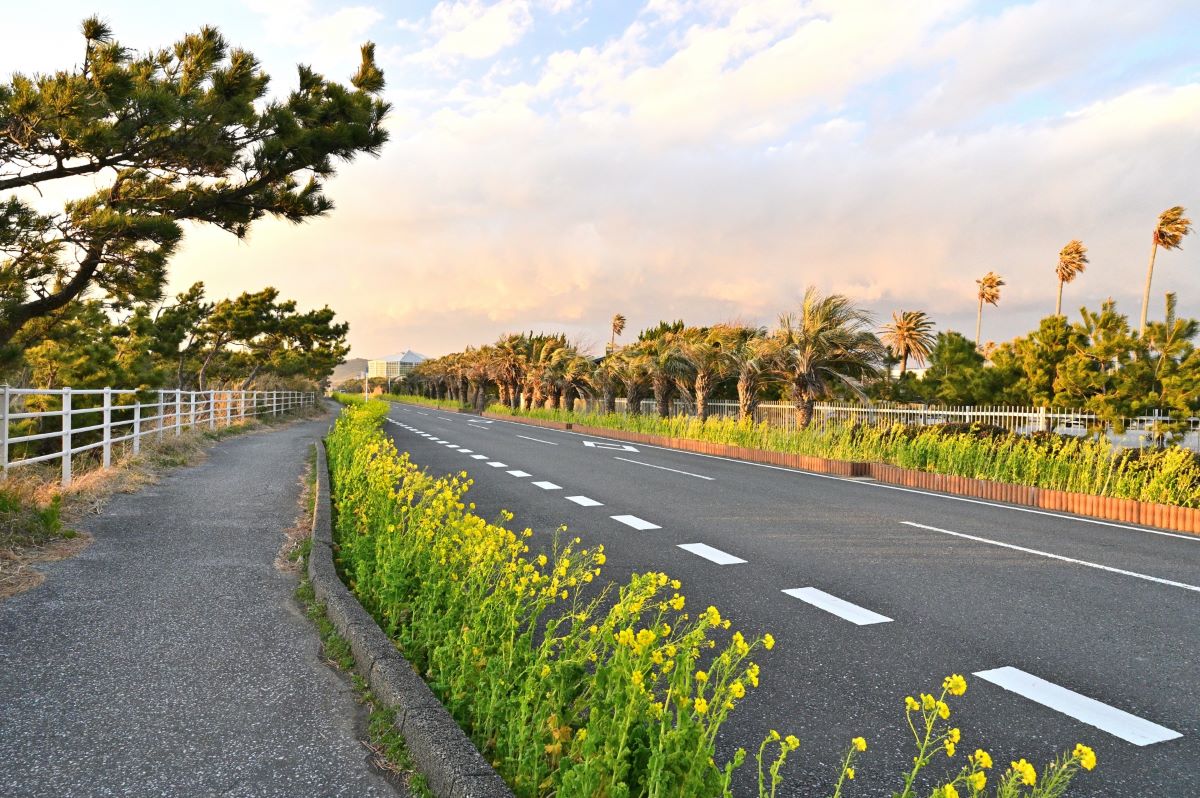 ①房総フラワーライン（千葉県）