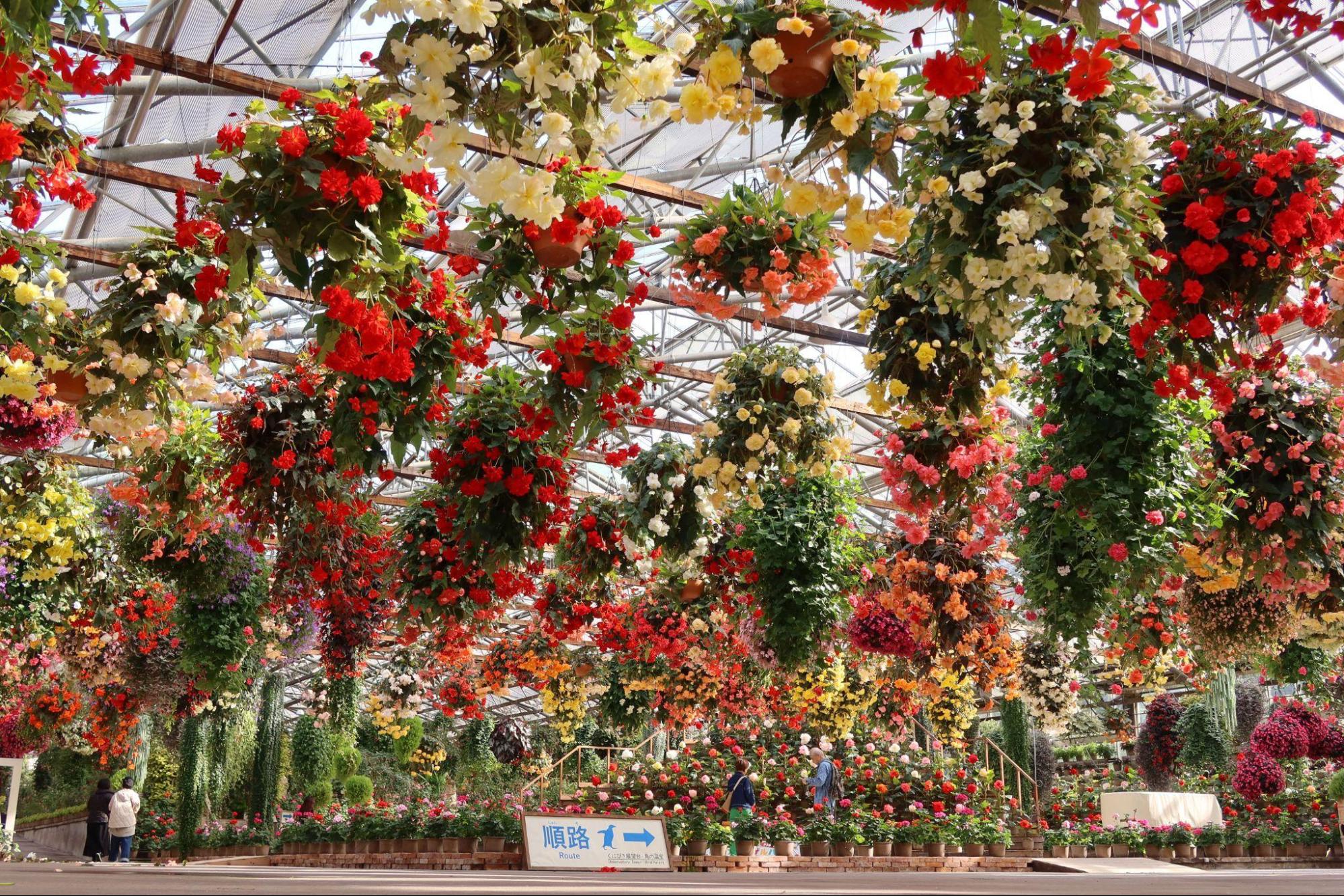 色鮮やかな花々と鳥たちが出迎える、癒しの温室ガーデン /松江フォーゲルパーク