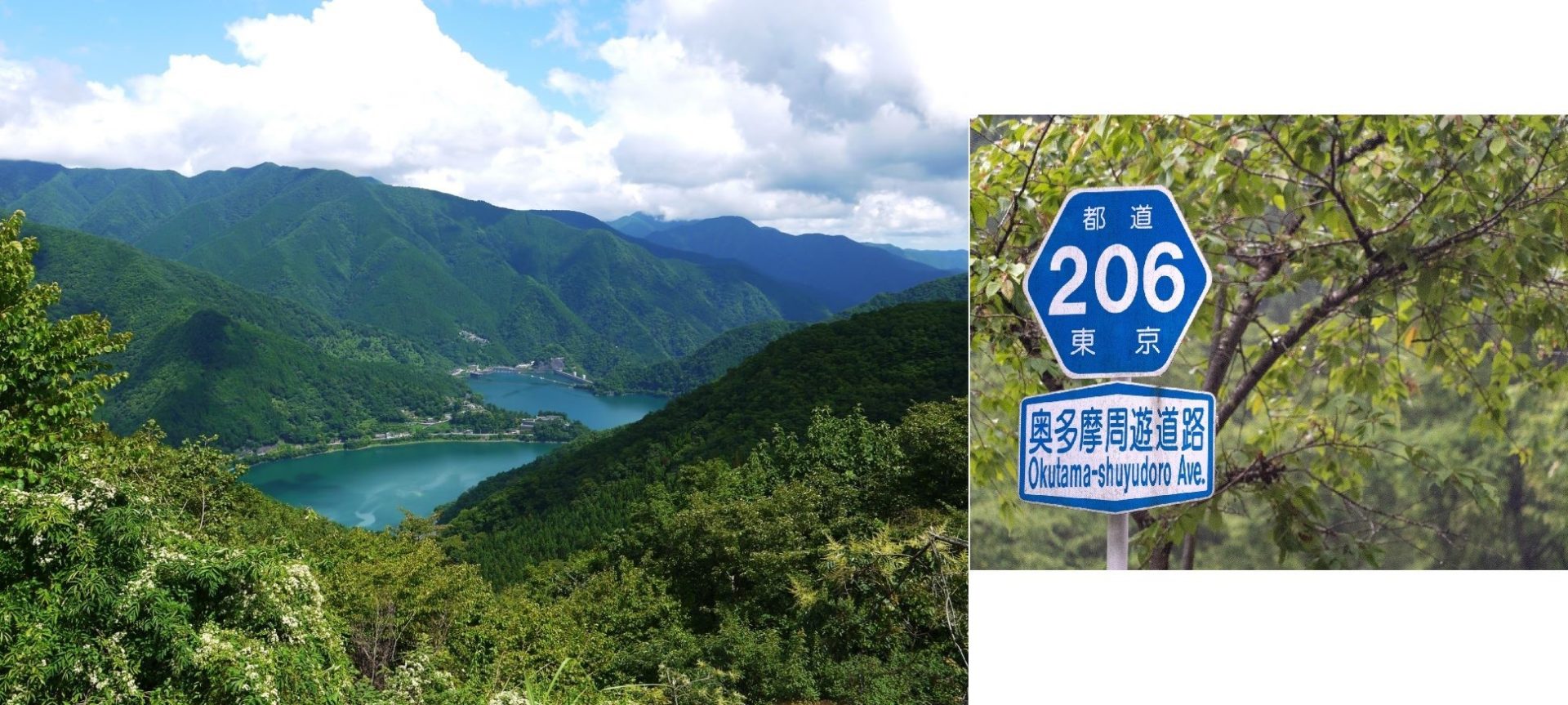 ③奥多摩周遊道路（東京都）