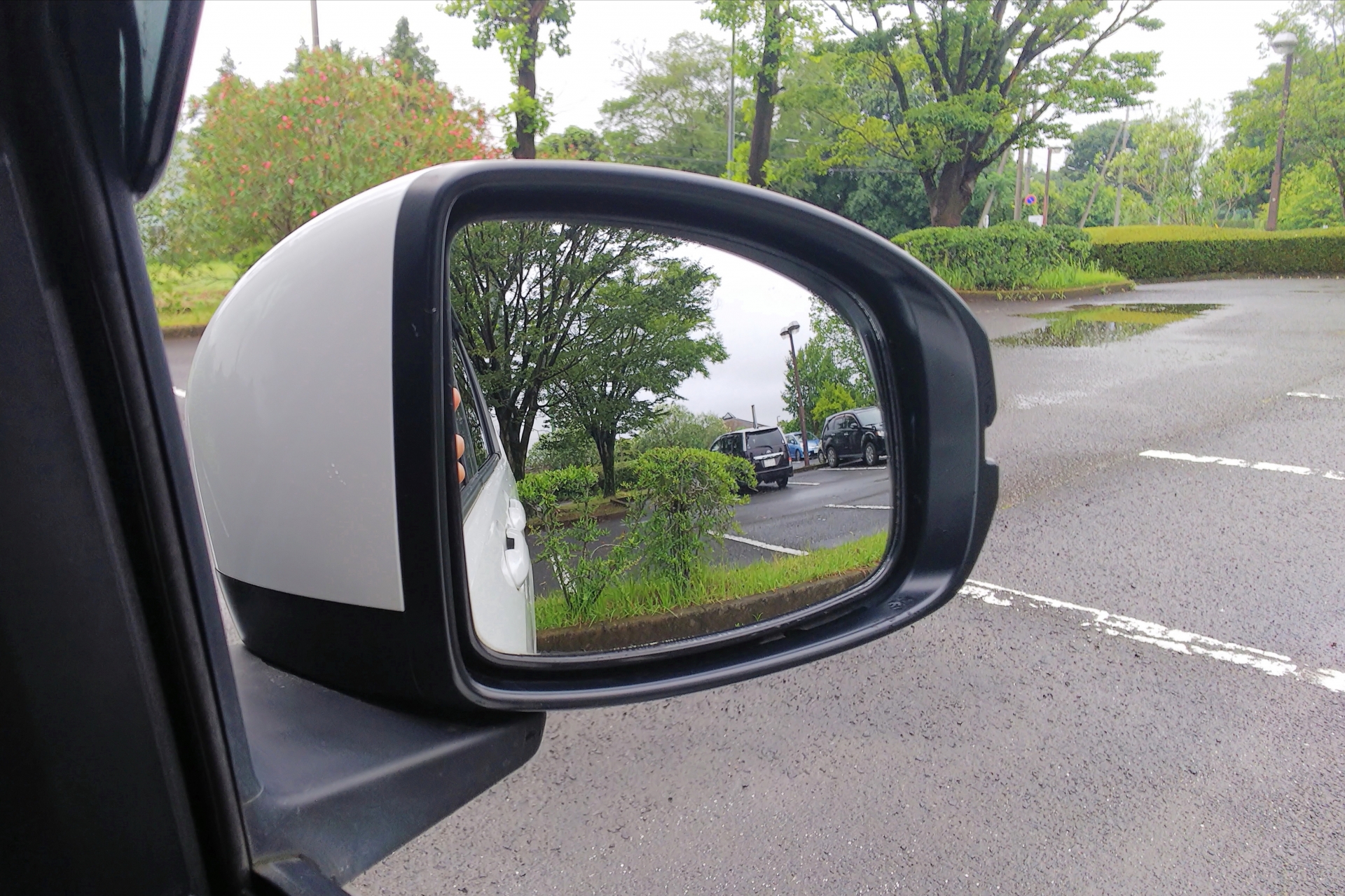 ②フロントガラスとミラーの清掃