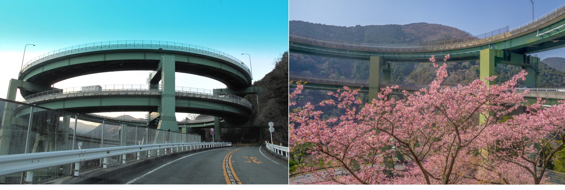 ⑨河津七滝ループ橋（静岡県）