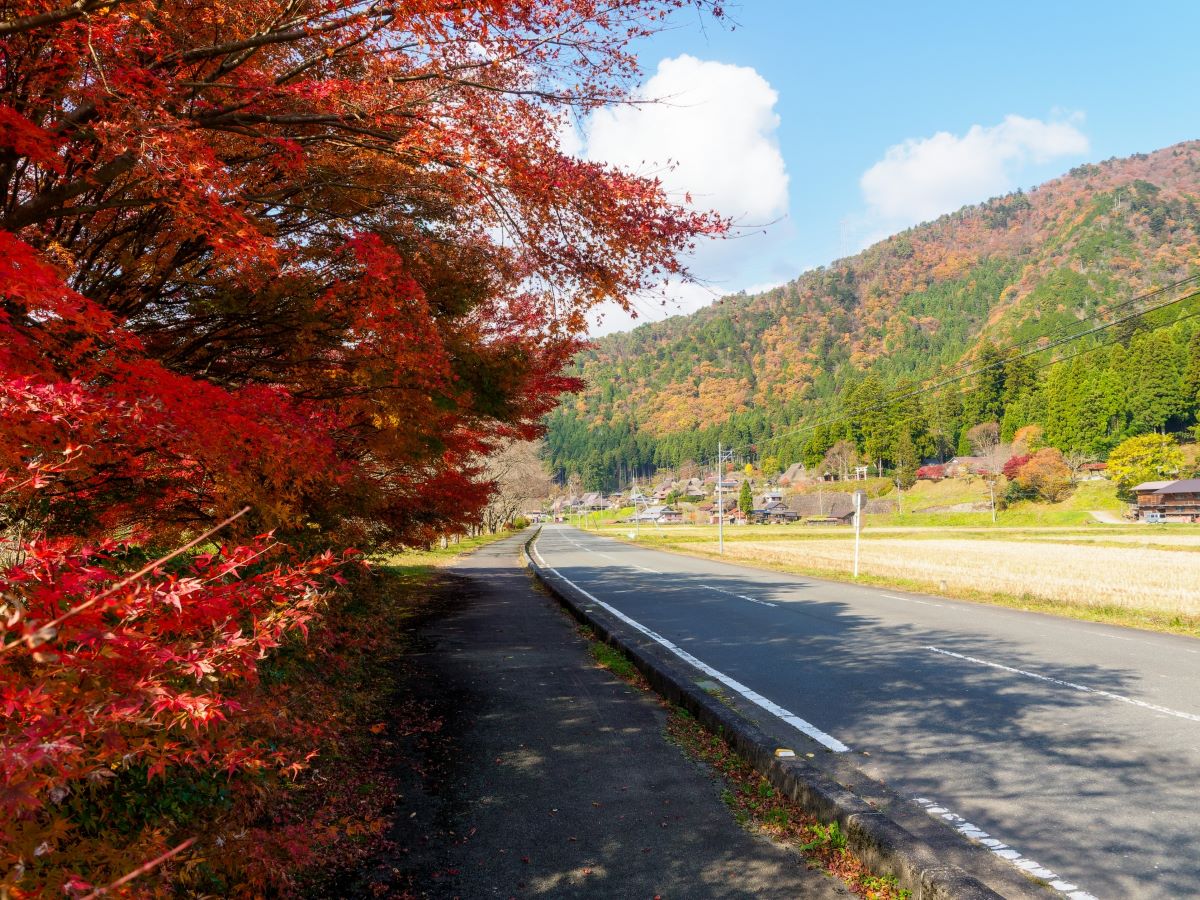 ⑩美山かやぶき由良里街道（京都府）