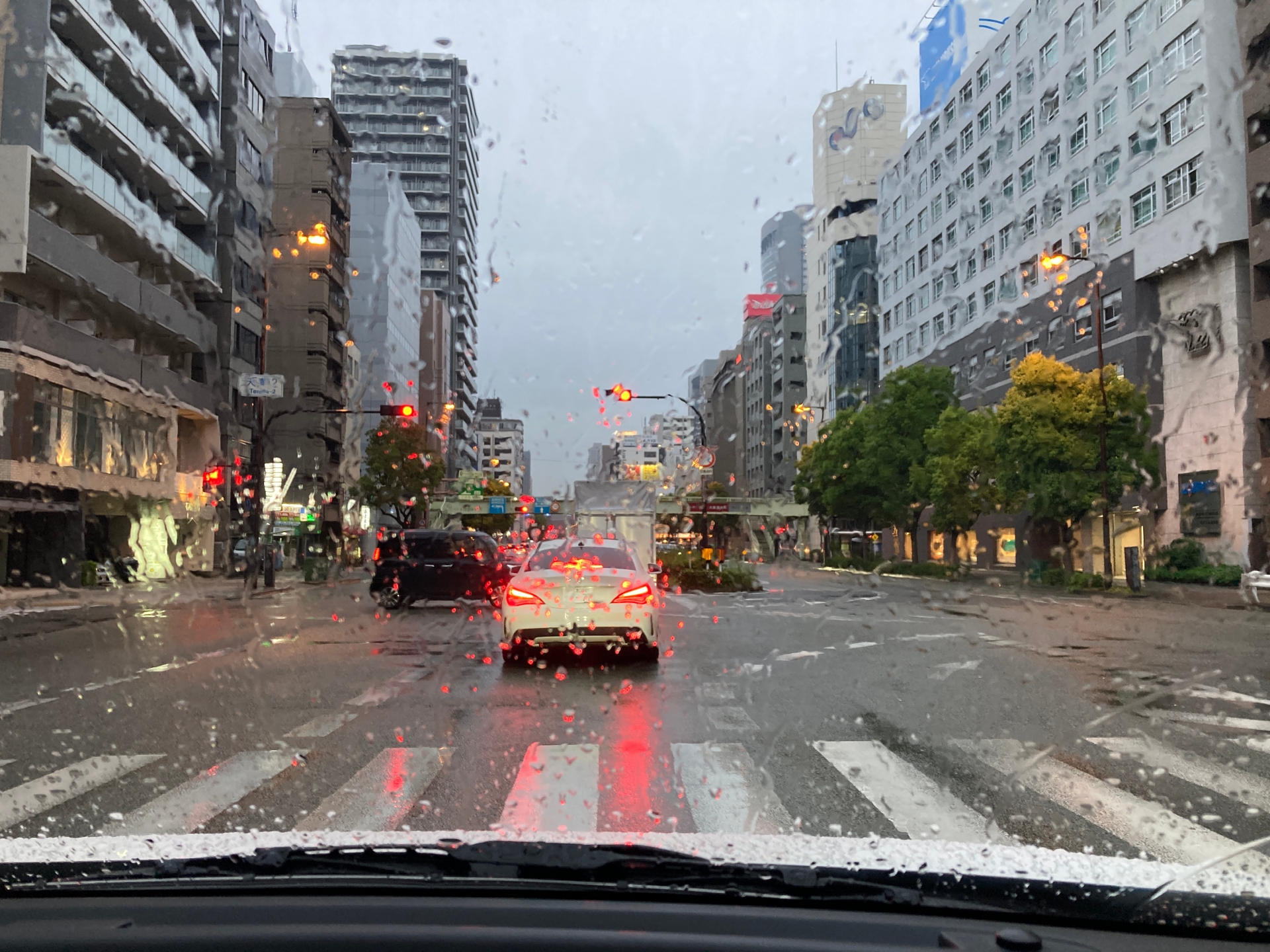 【保存版】“ゲリラ雷雨”対応マニュアル。運転時の命と車を守るための注意事項