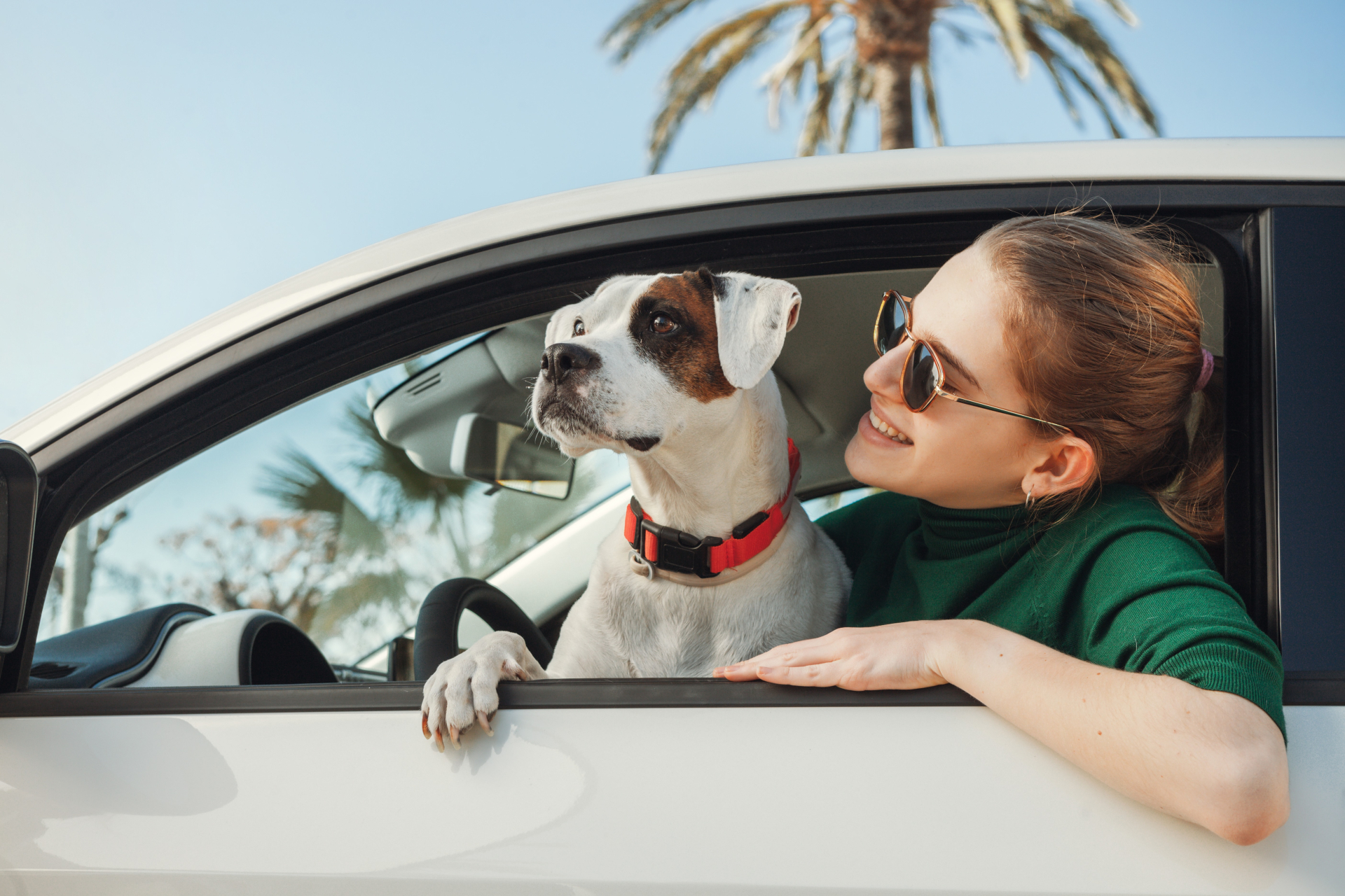 はじめてのドライブ。愛犬が車好きになるための準備編