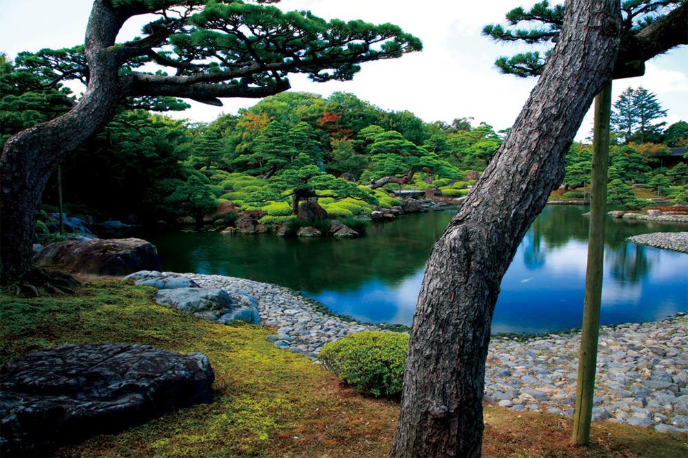 牡丹と日本庭園の雅、四季を彩る花の楽園/由志園