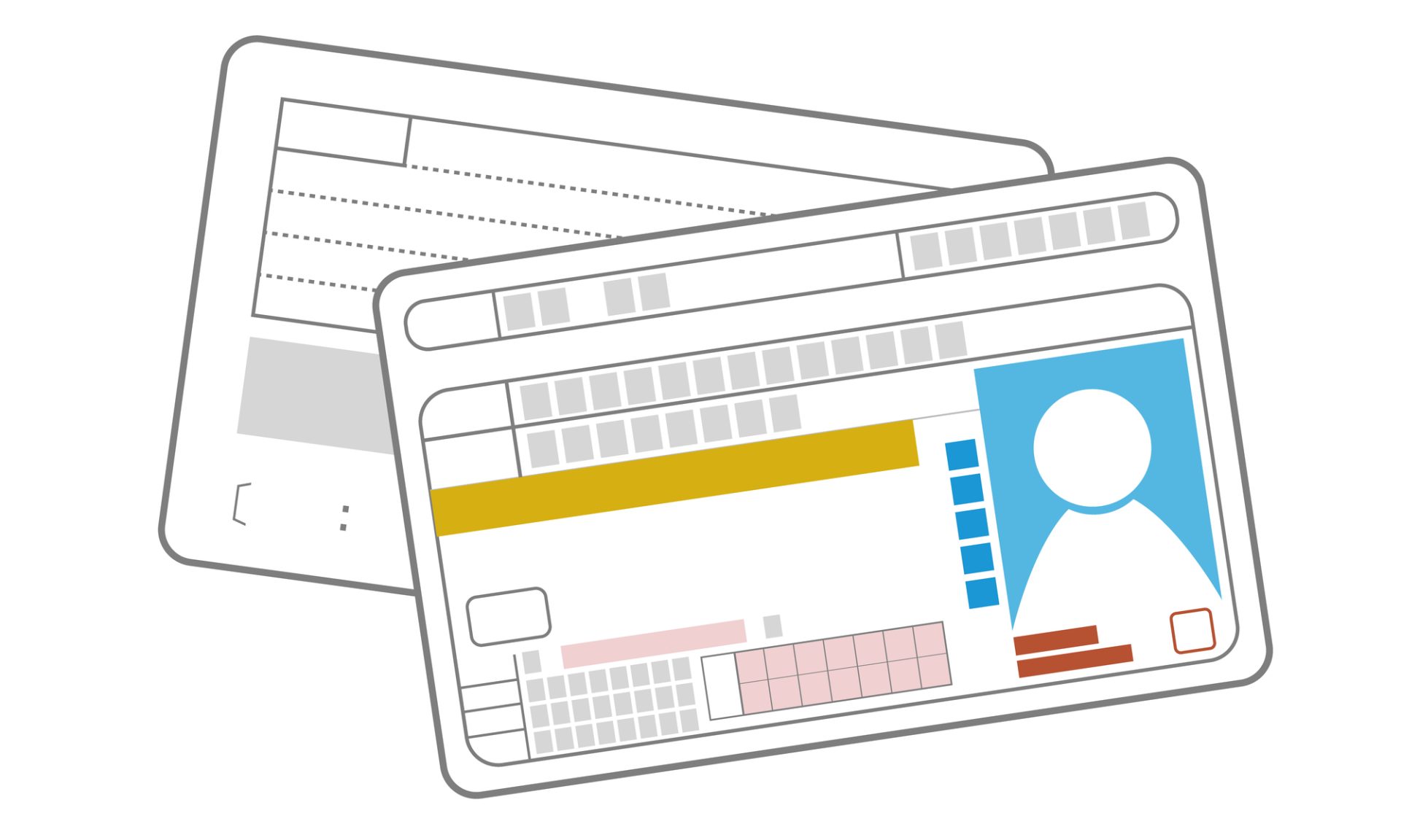 ②免許証の色や年齢条件を確認