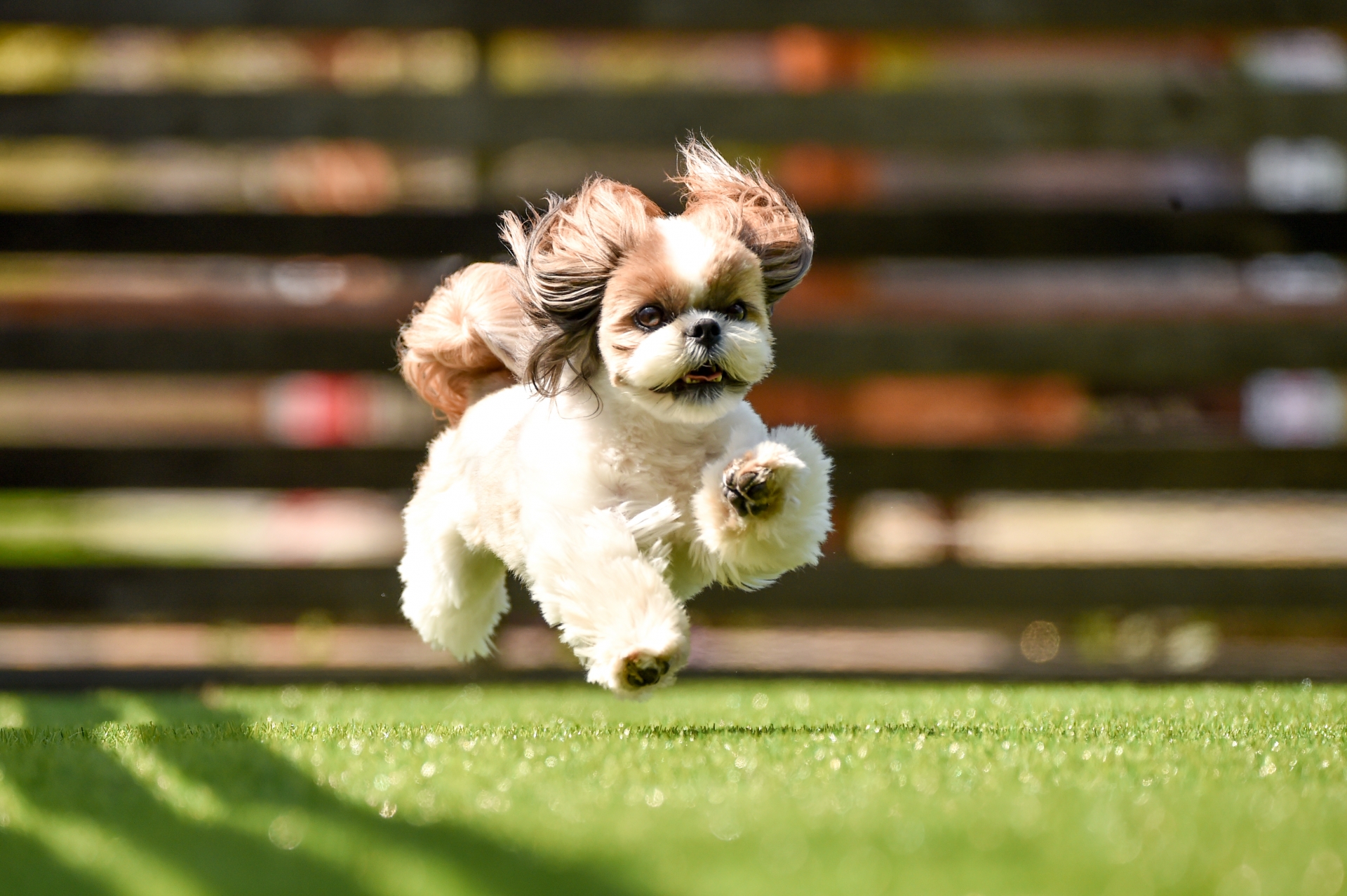 車とのお出かけは楽しい！と思わせるコツ