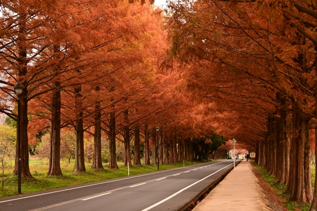 1度は走りたい!絶景ロード10選(関西編)