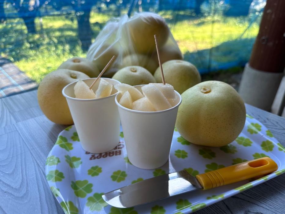 梨狩りドライブ。その後はお家でジャム作り Vol.2