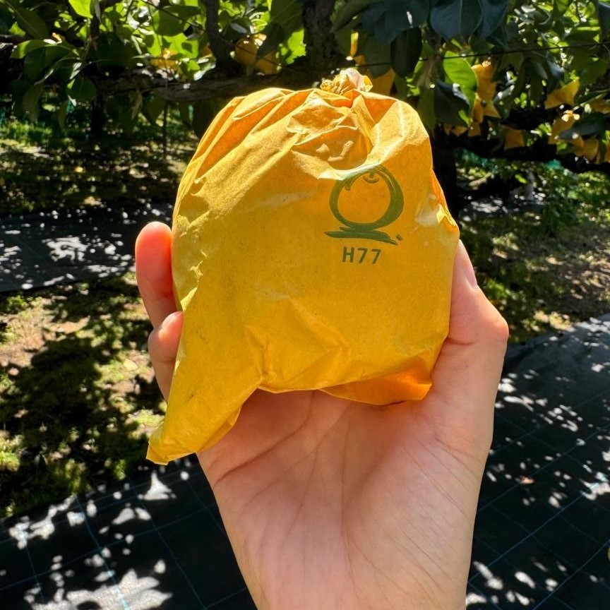 梨狩りドライブ。その後はお家でジャム作り Vol.2