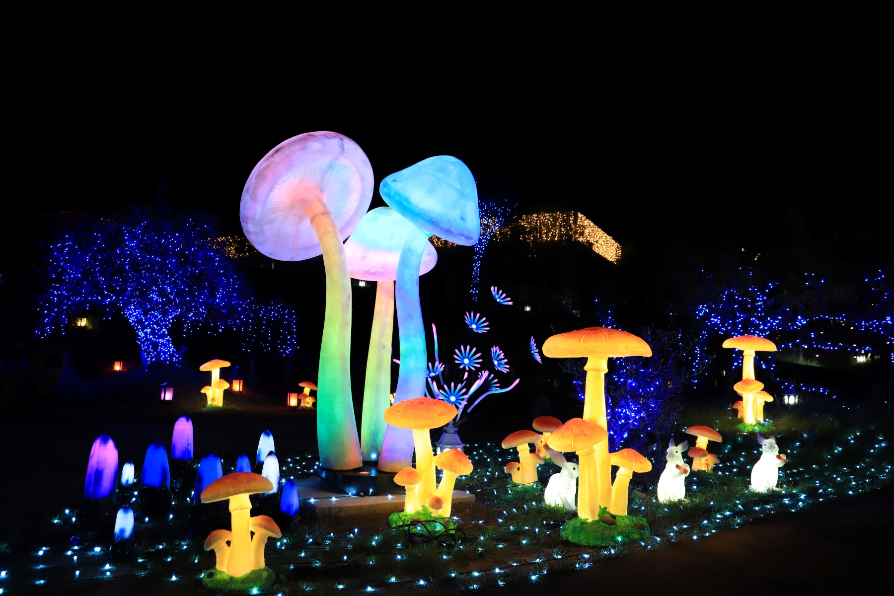 幻想の光が舞う夜の庭園へ　ローザンベリー多和田「HIKARIUM2025」開幕！