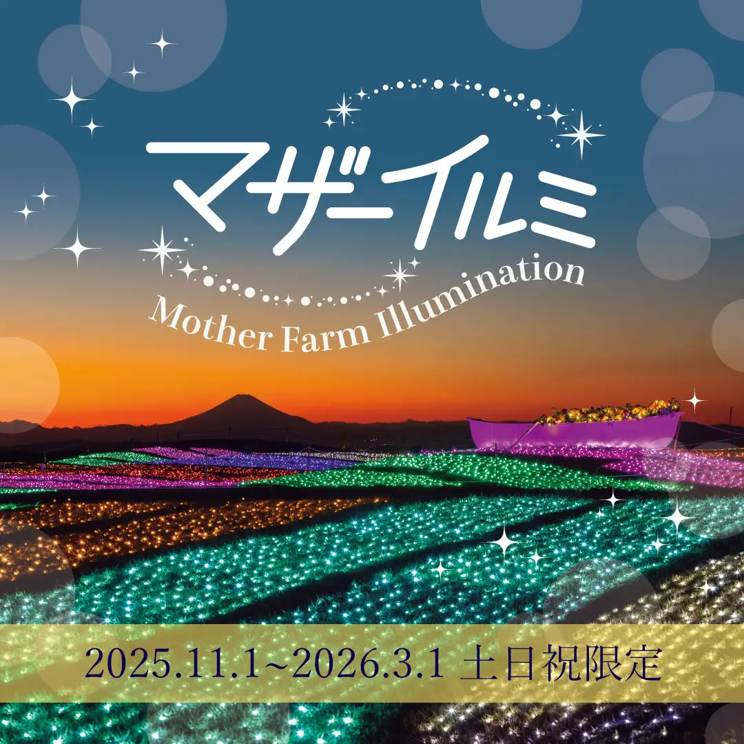 冬の夜空にきらめく“天空の世界”へ マザー牧場の冬季イルミネーション「マザーイルミ」開催（11/1〜3/1）