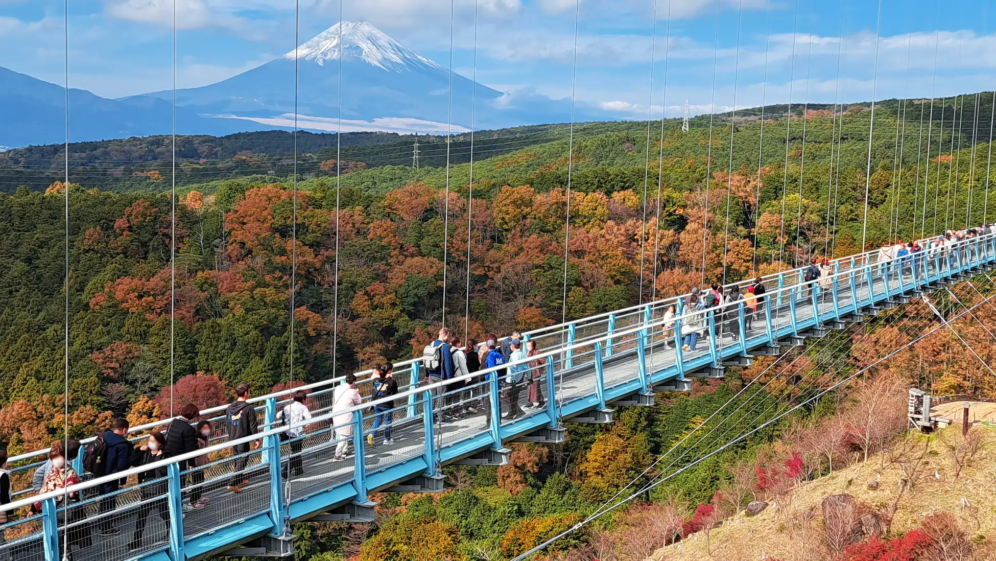 紅葉と富士山が織りなす絶景「空紅葉（そらもみじ）」 三島スカイウォークで楽しむ秋の特別シーズン（静岡県三島市）