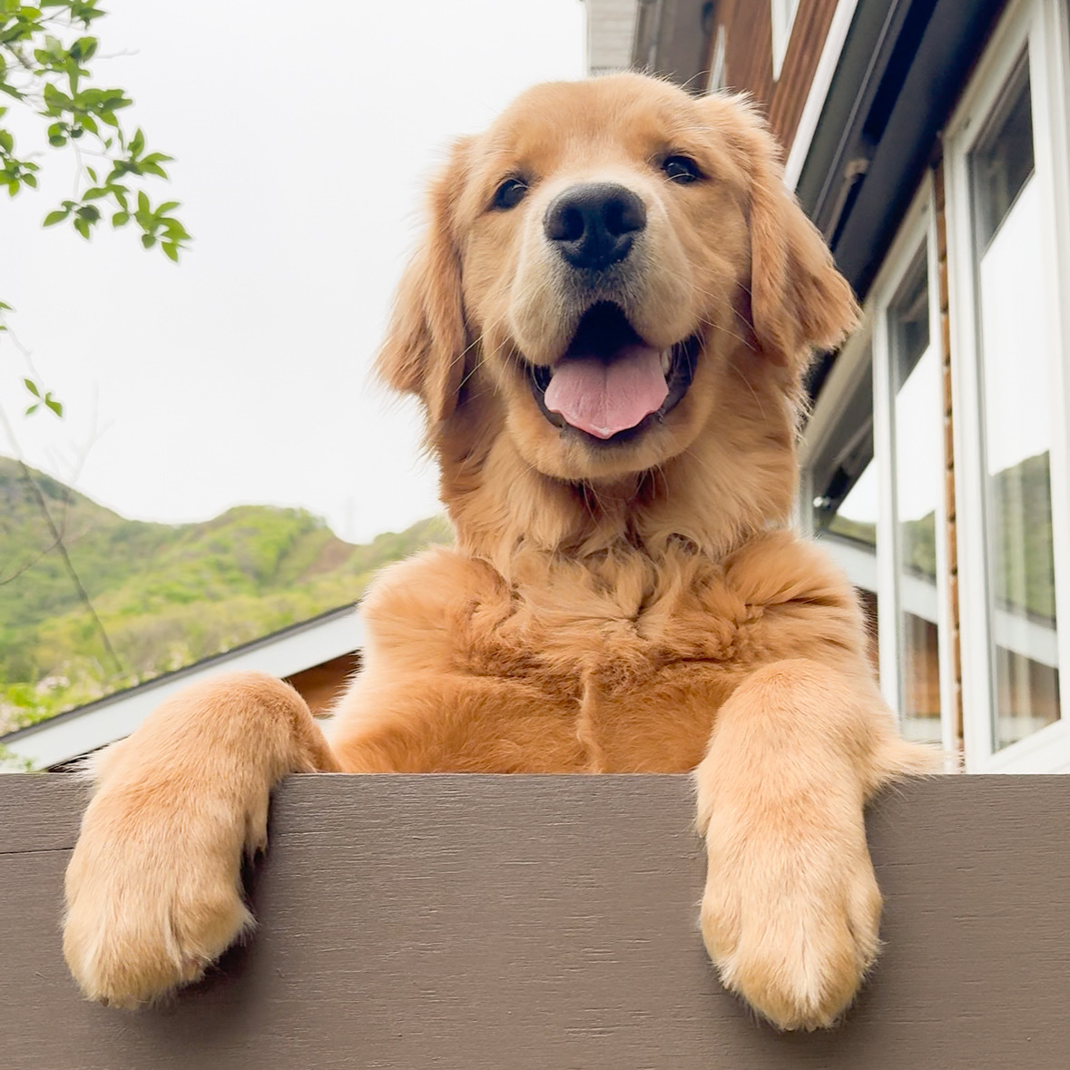 2位 「水上温泉　ペンション　朝ねぼう」「シェリ」