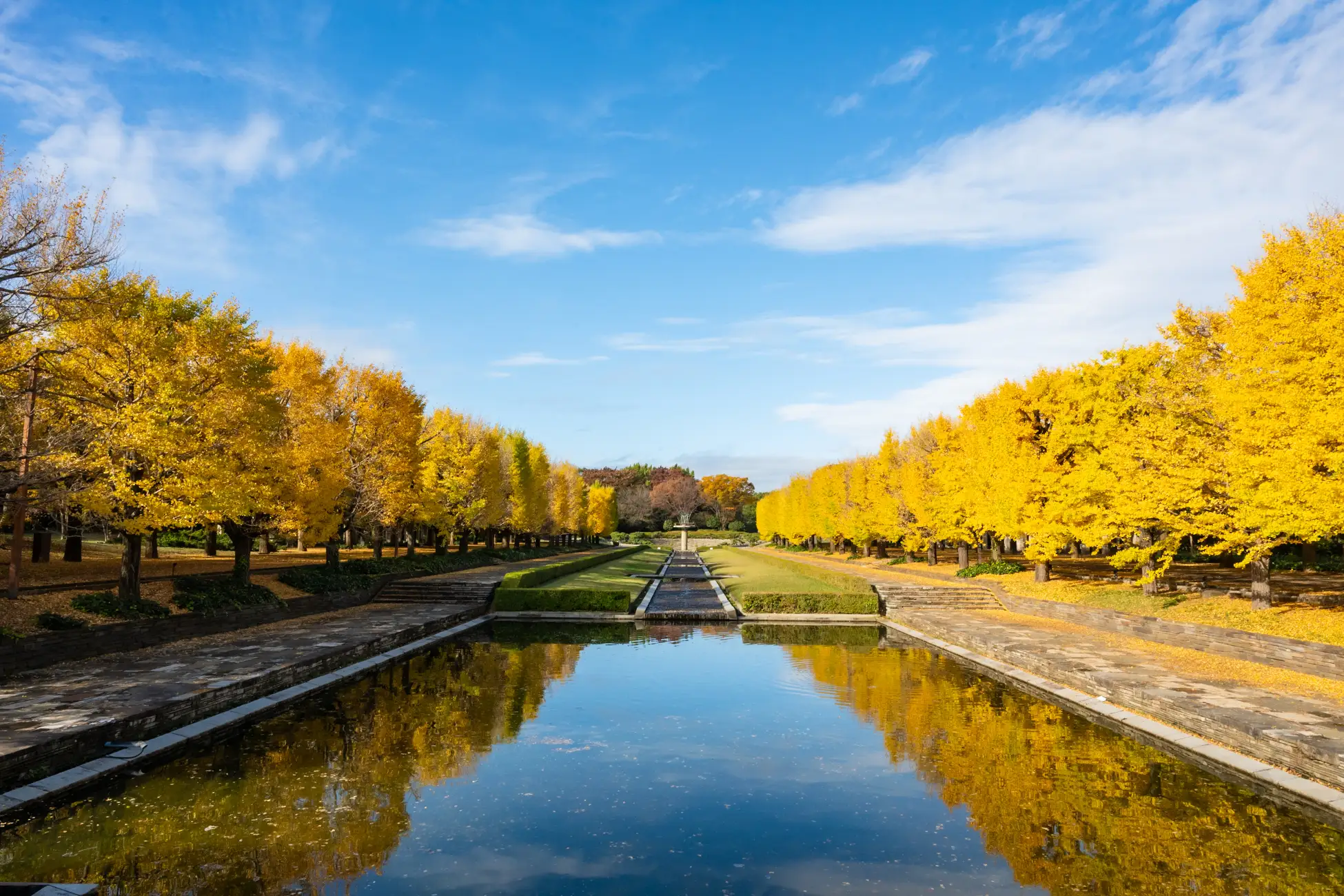 東京の秋を彩る光と黄金のトンネル ｜ 国営昭和記念公園「黄葉・紅葉まつり＆秋の夜散歩2025」開催