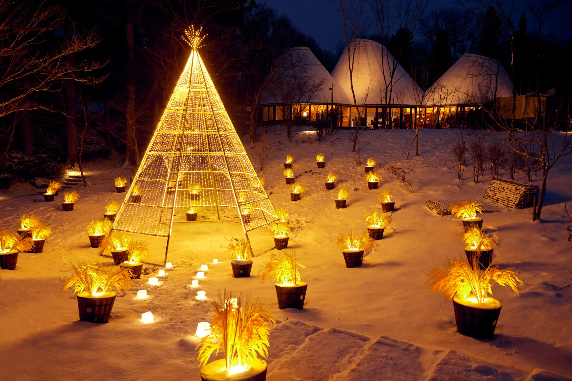 黄金色に輝く「稲穂クリスマス」開催（栃木県那須町）  リゾナーレ那須で体験する、光と実りのアグリツーリズモクリスマス