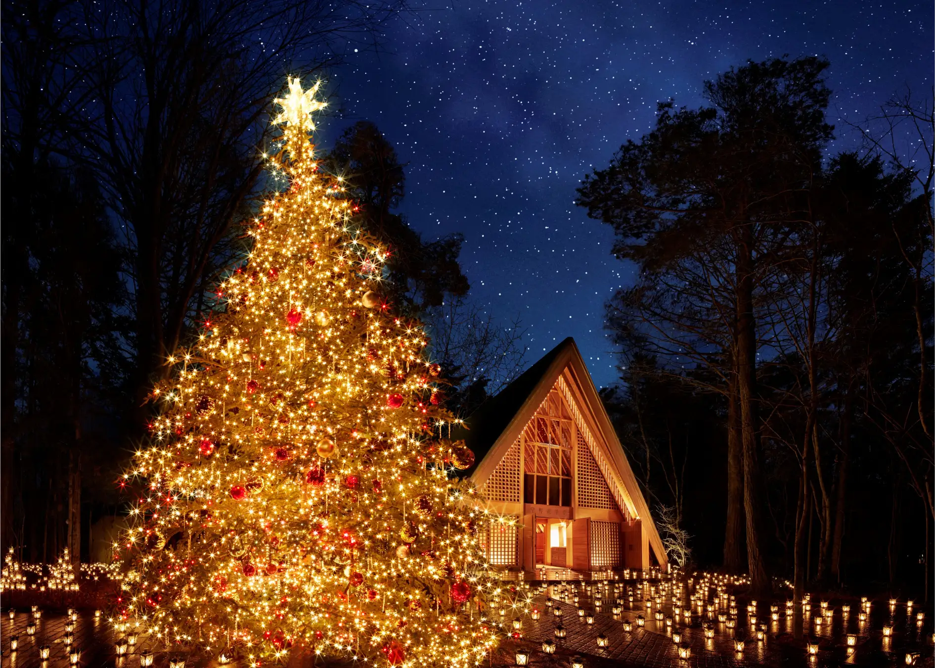 【長野県・軽井沢】星降る森に願いを灯す「軽井沢高原教会 星降る森のクリスマス」開催