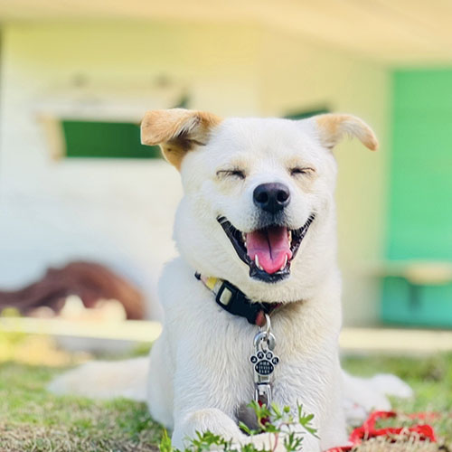 3位「ＵｍｉＯｔｏ　ウミオト」「チャチャ」