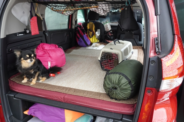 災害時にマイカーが果たす役割