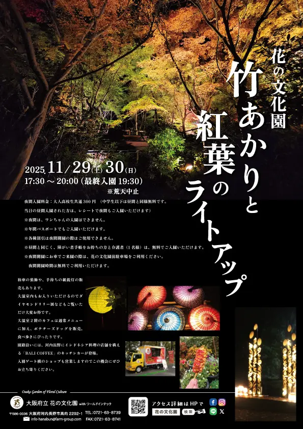 【大阪・河内長野】竹あかりと紅葉が灯す幻想の夜。「大阪府立花の文化園」で夜間特別開園 11月29・30日開催