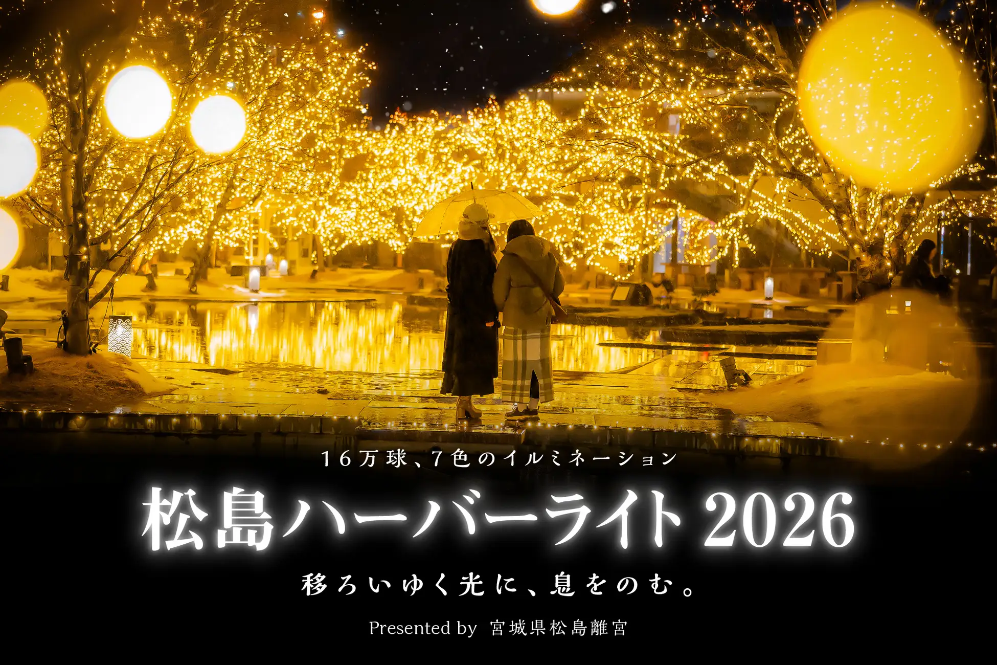 【宮城・松島】16万球が灯す“光の松島”。松島ハーバーライト2026、11月29日より開催