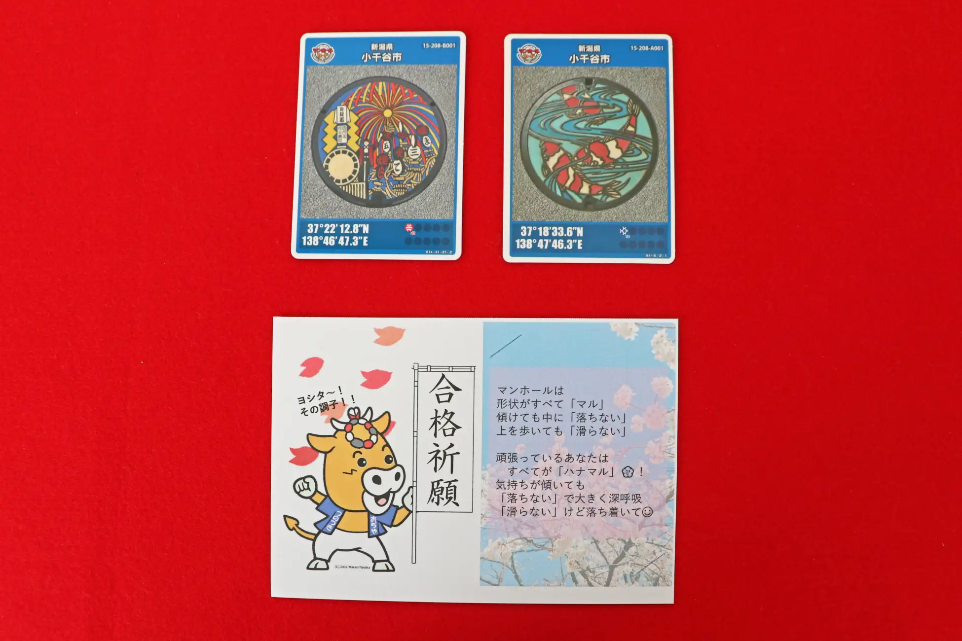 【新潟・小千谷】合格祈願！マンホールカード「錦鯉」「片貝まつり」12/1より無料配布