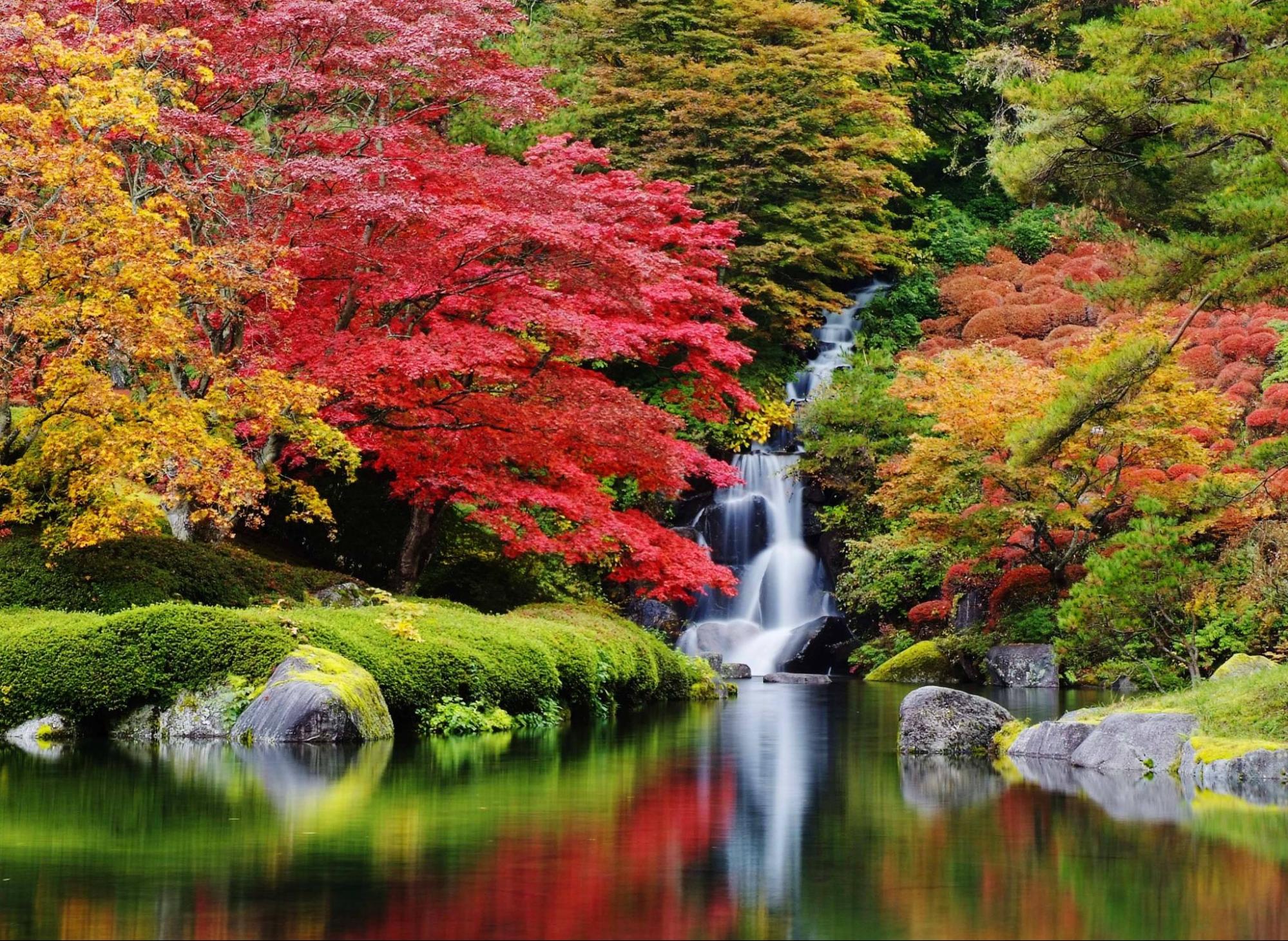 自然に抱かれる大庭園で山もみじ・庭もみじを楽しむ/古峯園