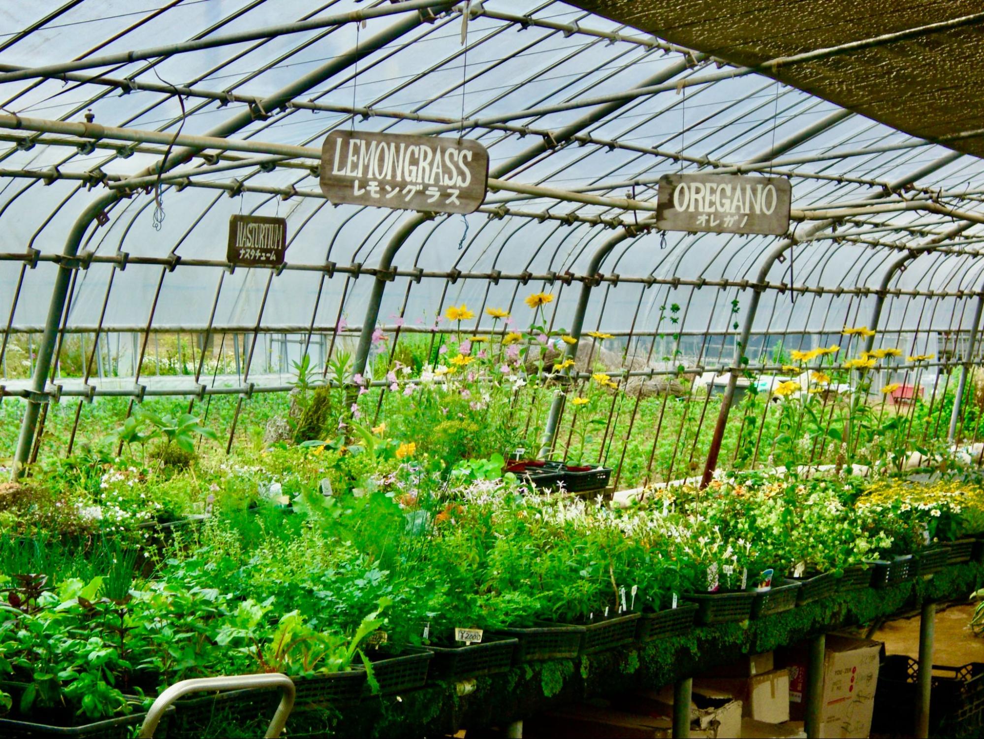 【千葉・九十九里ドライブ】絶品スイーツから金運まで。”ほしい”が手に入る人気スポットめぐり（平日旅のススメVol.6）