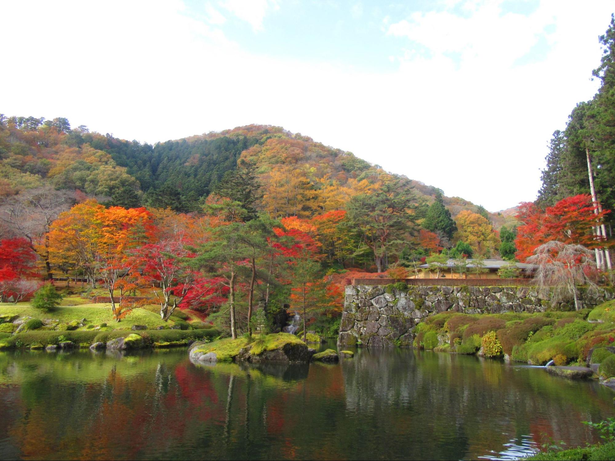 【栃木・鹿沼-足利ドライブ】灯りの街で500万球の感動イルミネーションを体験（平日旅のススメVol.10）