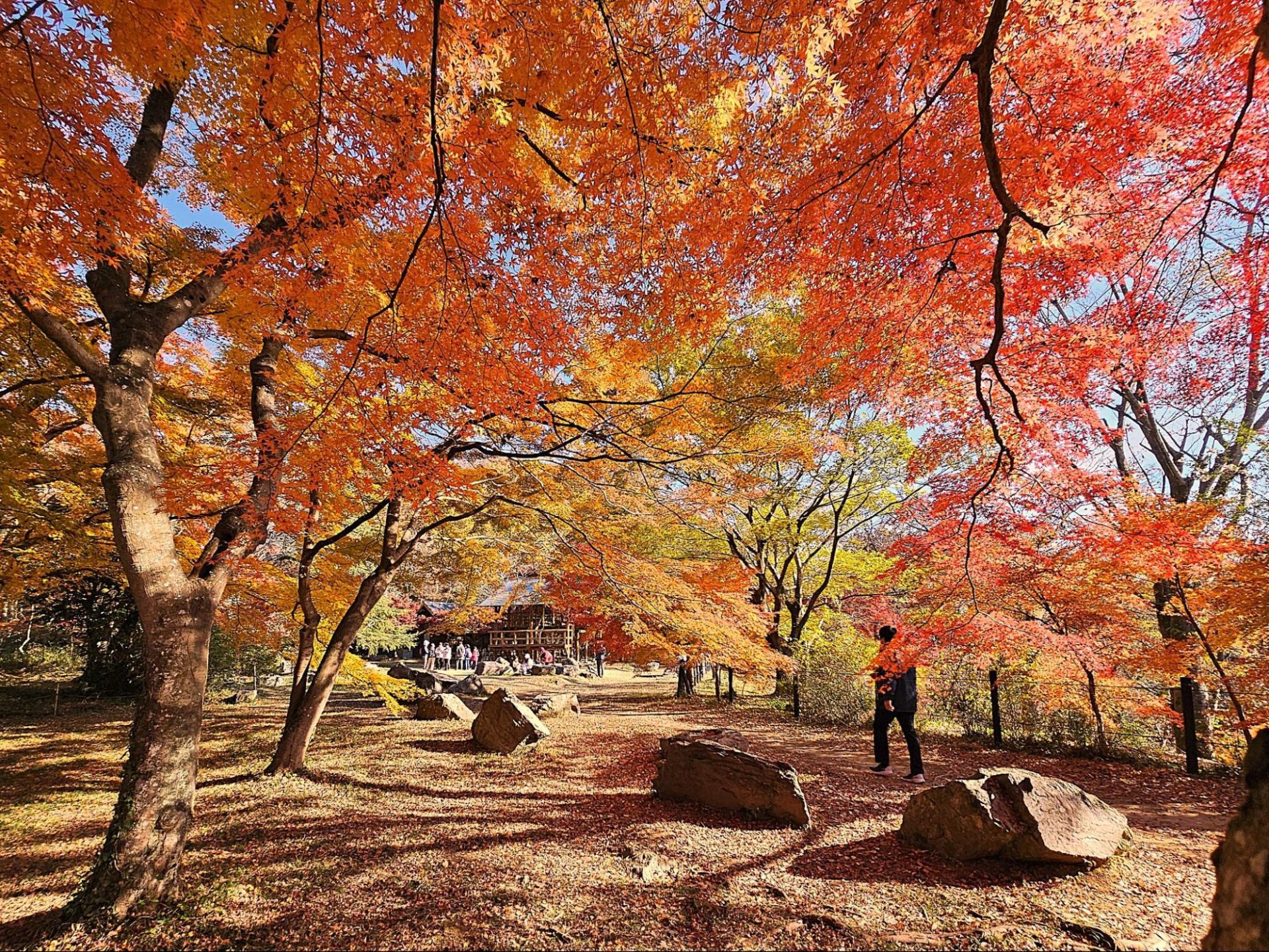 「ここは武蔵国の嵐山だ！」博士が感嘆した渓谷へ/嵐山渓谷
