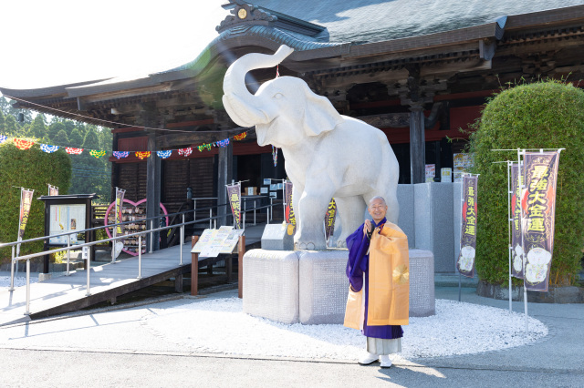 吉ゾウくんに金運アップのアドバイスをいただく/吉ゾウくんのお寺 長福寿寺