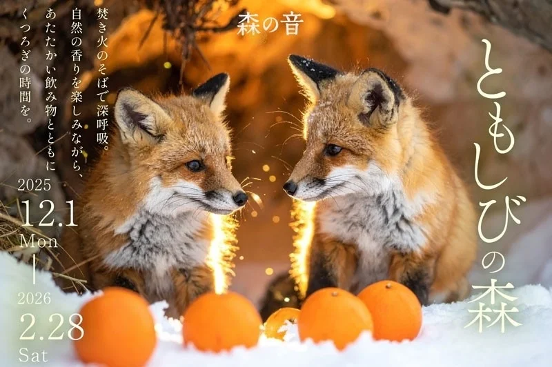 【山形・かみのやま温泉】冬の森が灯りに包まれる——  「ともしびの森」開催。やまがた冬野菜のサスティナブルコースも登場（12/1〜2/28）