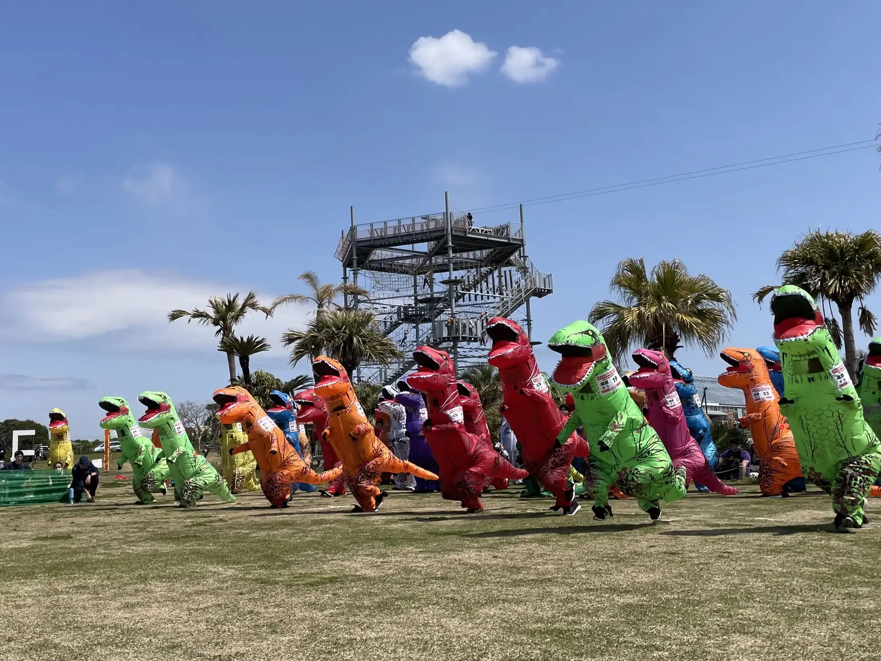 【神奈川・横須賀】のんびりはらっぱをティラノが駆け抜ける。『第3回ティラノサウルスレース in ソレイユの丘』2026年1月17日開催