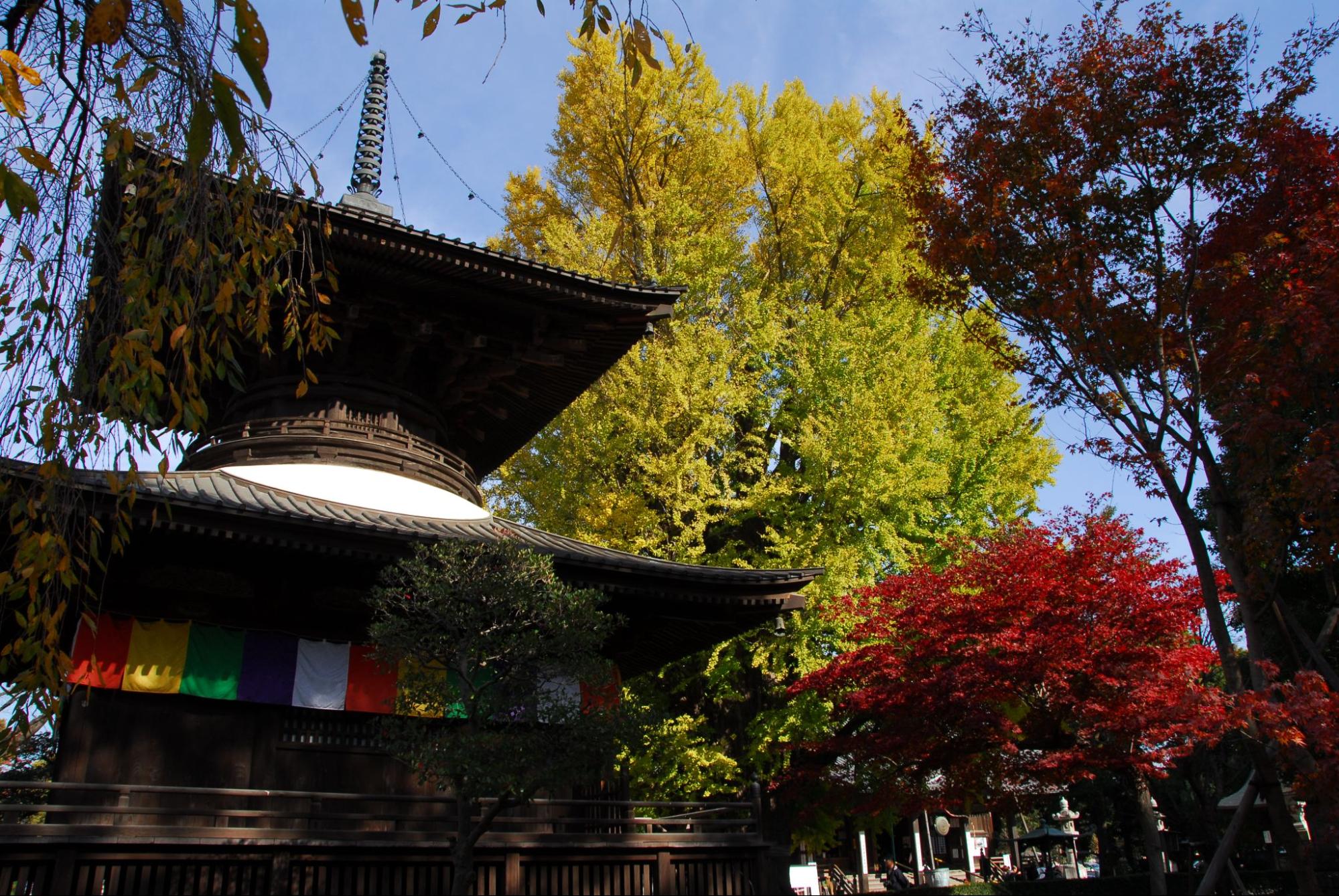 もし泊まるなら…古都歩きも楽しいスポットへ/足利市街