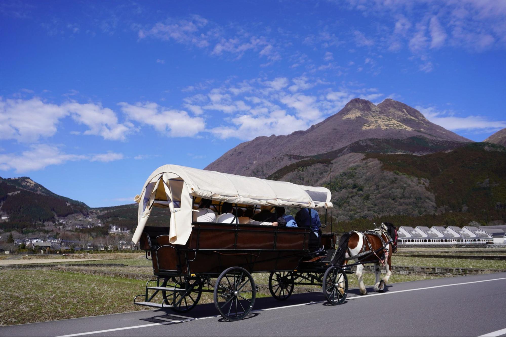 馬車からの目線でのんびり観光 / 由布院の観光辻馬車