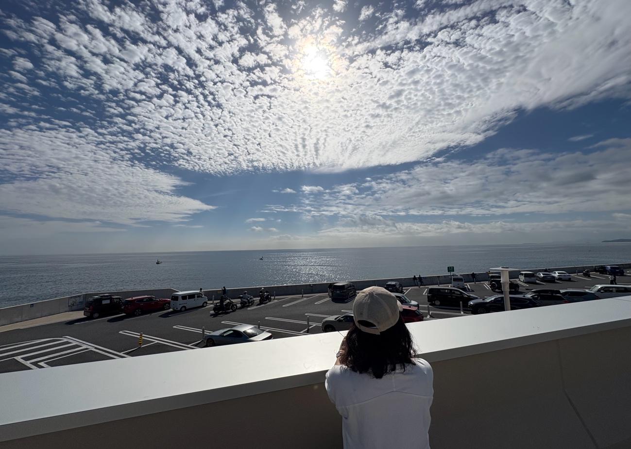 神奈川屈指の海の道、山の道を堪能するコース