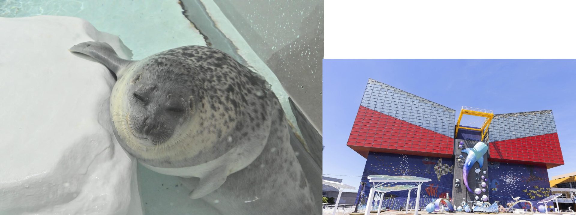 青の世界に包まれて、幻想的な時間に浸る / 海遊館