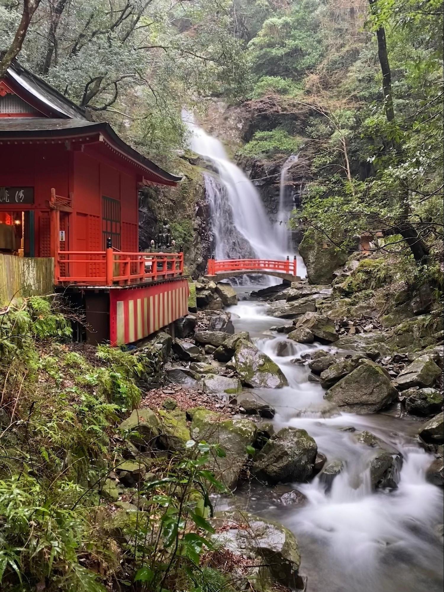 滝の音に心をゆだねる、修験道の名所 / 七宝瀧寺