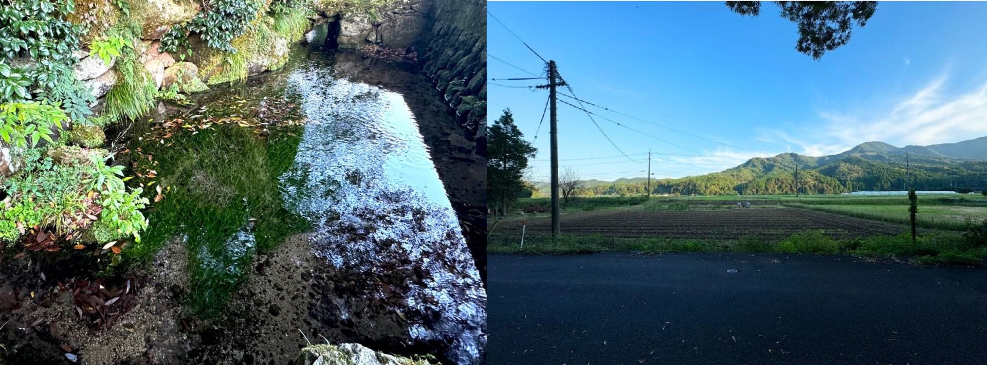 湧水でコーヒーをいただきました　Vol.3