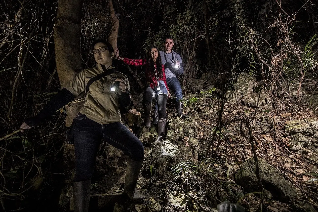 那覇から30分、本物のジャングルで星空を見上げる  おきなわワールド「ウワーガージャングル」夜限定ガイドツアー