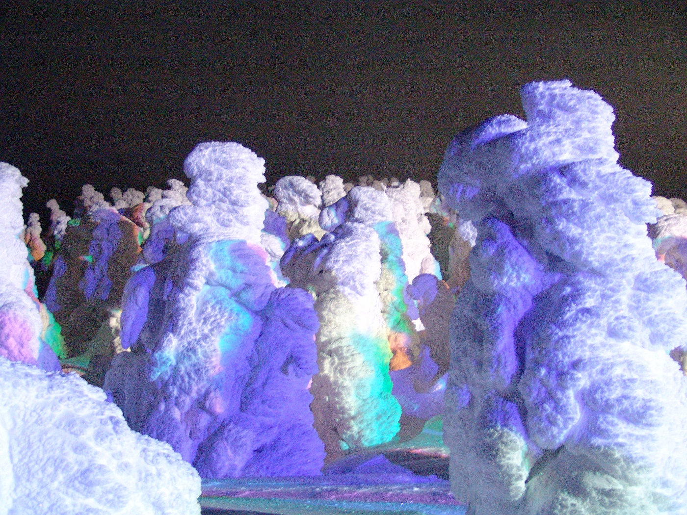 厳寒の夜に輝く樹氷原へ/蔵王ロープウェイ 樹氷ライトアップ